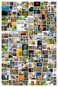 Kunst aus sehr vielen Fotos als kreative Collage. Premium-Druck auf Leinwand, Acryl, Dibond oder Poster Kunst aus sehr vielen Fotos als kreative Collage. Premium-Druck auf Leinwand, Acryl, Dibond oder Poster