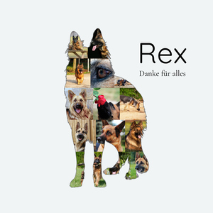 Hunde-Fotocollage "Deutscher Schäferhund" erstellen. Eigene Fotos, Namen und Texte. Hunde-Fotocollage "Deutscher Schäferhund" erstellen. Eigene Fotos, Namen und Texte.