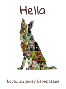 Hunde-Fotocollage "Deutscher Schäferhund" erstellen. Eigene Fotos, Namen und Texte. Hunde-Fotocollage "Deutscher Schäferhund" erstellen. Eigene Fotos, Namen und Texte.