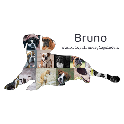 Hunde-Fotocollage "Boxer" erstellen. Eigene Fotos, Namen und Texte.