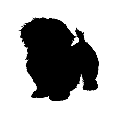 Hundesilhouette Shih Tzu stehend